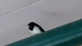 もうすぐ夏ですね