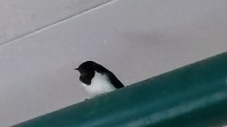 もうすぐ夏ですね