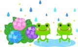 ６月のお休み