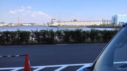 海辺の仕事