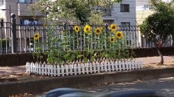 ９月の定休日