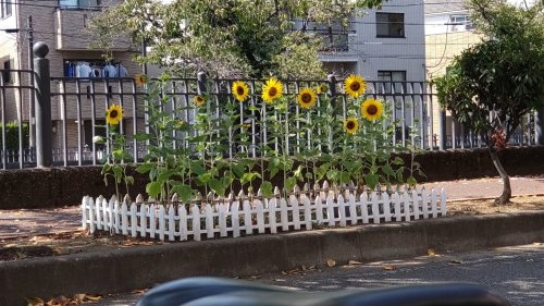 ９月の定休日