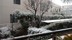 雪