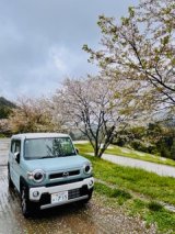 新しいサービスカーとの交流会