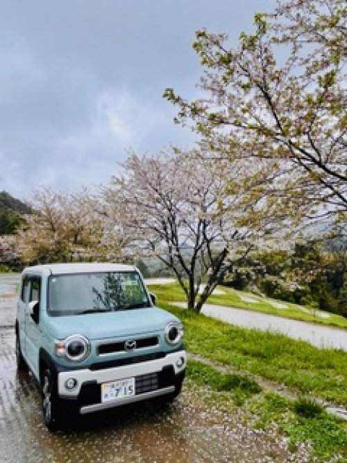 新しいサービスカーとの交流会