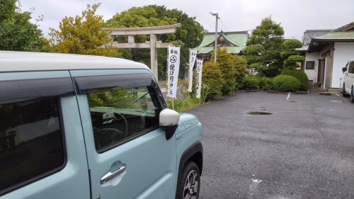 朝の散歩