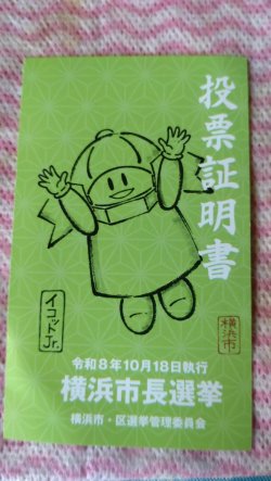 期日前投票してきました